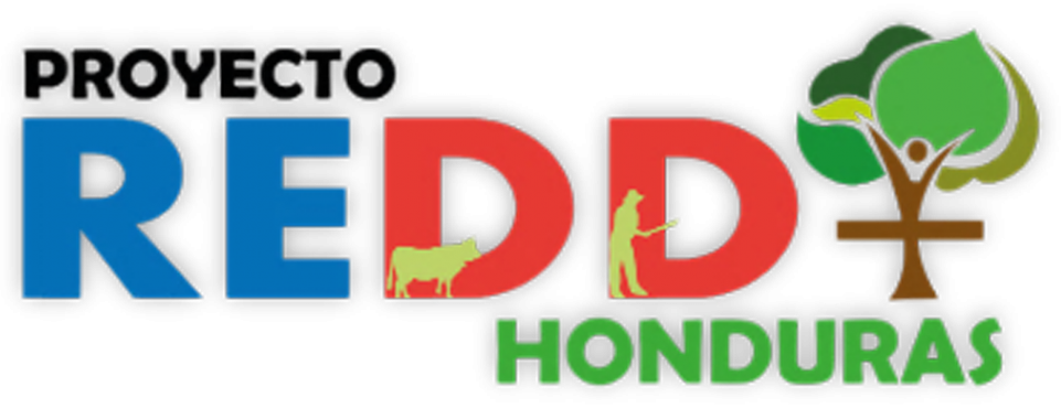redd1-1300x380