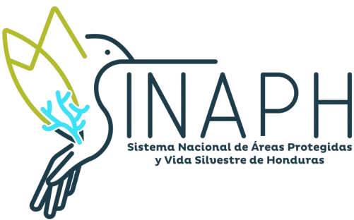 no_bg_sinaph_logo