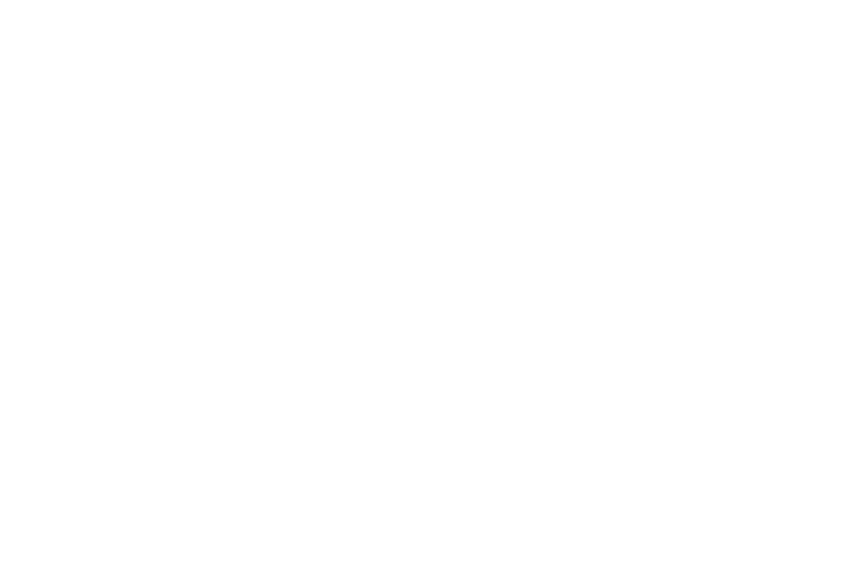 sinaph-logo-img